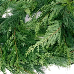 Christmas Greenery VAN ZYVERDEN 25 Ft. Live Fresh Cut Pacific Northwest Princess Pine And Cedar Mix Coil Holiday Garland -Christmas Lights Sales christmas garland 87424 44 1000