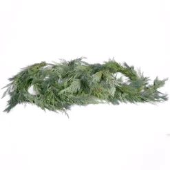 Christmas Greenery VAN ZYVERDEN 25 Ft. Live Fresh Cut Pacific Northwest Princess Pine And Cedar Mix Coil Holiday Garland -Christmas Lights Sales christmas garland 87424 fa 1000