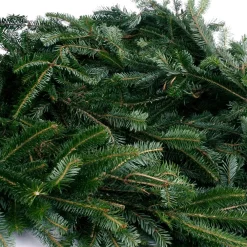 Christmas Greenery VAN ZYVERDEN 25 Ft. Live Fresh Cut Blue Ridge Mountain Fraser Fir Coil Holiday Garland -Christmas Lights Sales christmas garland 87550 44 1000