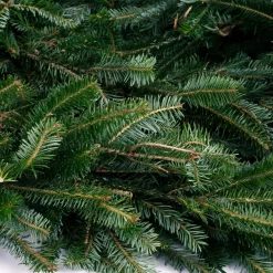 Christmas Greenery VAN ZYVERDEN 25 Ft. Live Fresh Cut Blue Ridge Mountain Fraser Fir Coil Holiday Garland -Christmas Lights Sales christmas garland 87550 4f 1000