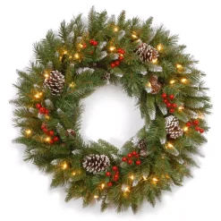 Christmas Greenery National Tree Company Frosted Berry 24 In. Artificial Wreath With Clear Lights