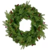Christmas Greenery Northlight 24 In. Pre-Lit Mixed Winter Berry Pine Artificial Christmas Wreath – Clear Lights