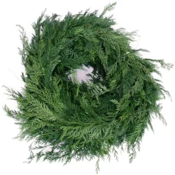 Christmas Greenery VAN ZYVERDEN 25 Ft. Live Fresh Cut Pacific Northwest Cedar Mix Coil Garland -Christmas Lights Sales van zyverden christmas garland 87425 1f 1000