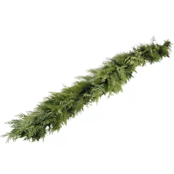 Christmas Greenery VAN ZYVERDEN 10 Ft. Live Fresh Cut Pacific Northwest Cedar Mix Coil Garland
