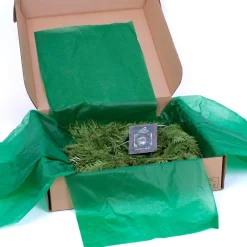 Christmas Greenery VAN ZYVERDEN 10 Ft. Live Fresh Cut Pacific Northwest Cedar Mix Coil Garland -Christmas Lights Sales van zyverden christmas garland 87427 fa 1000