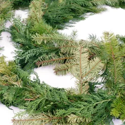 Christmas Greenery VAN ZYVERDEN 15 Ft. Live Fresh Cut Pacific Northwest Douglas And Cedar Mix Coil Garland 15 Ft. -Christmas Lights Sales van zyverden christmas garland 87429 1f 1000