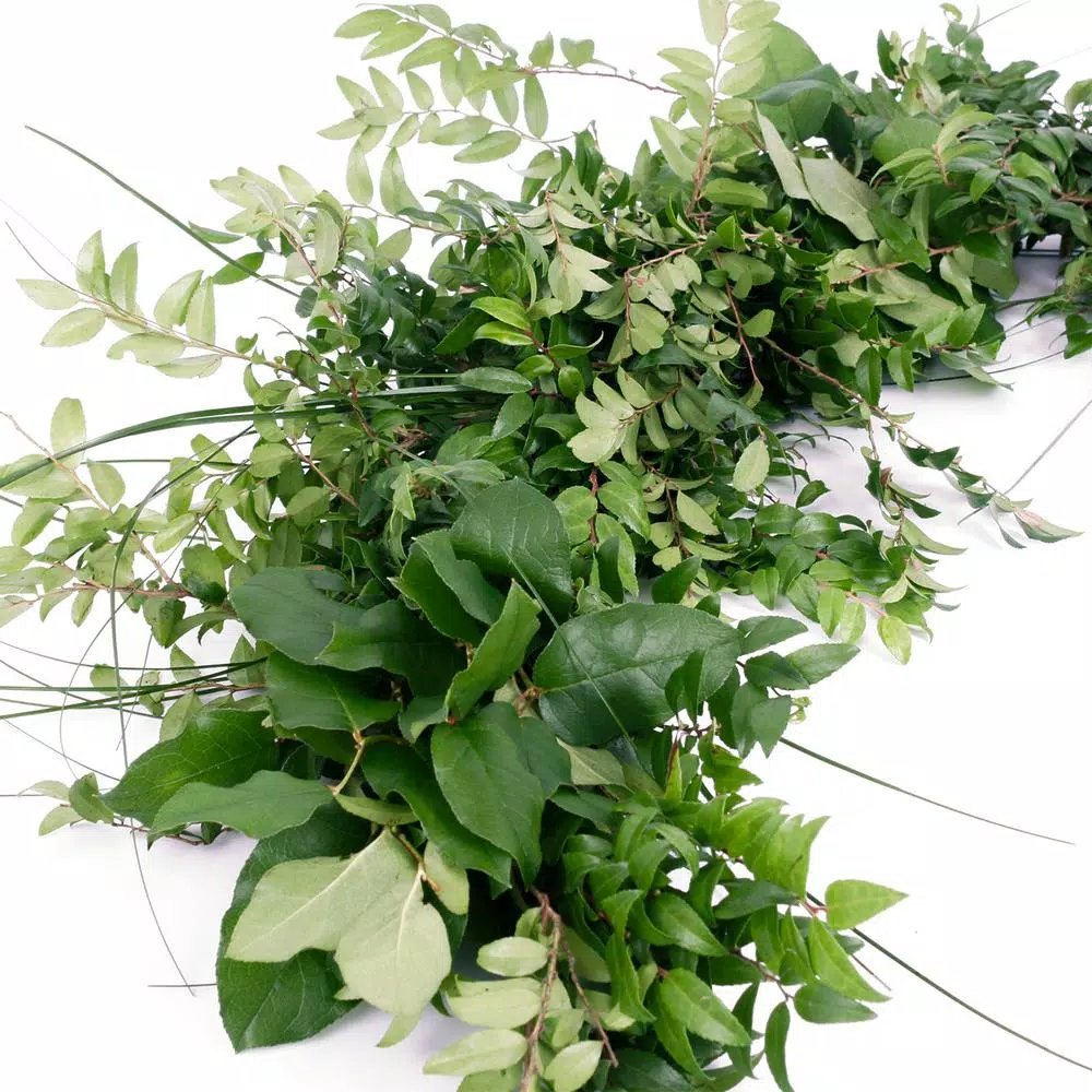 Christmas Greenery VAN ZYVERDEN 6 Ft. Live Fresh Cut Pacific Northwest Deluxe Special Event Garland Mix Coil Runner 5 Christmas Greenery VAN ZYVERDEN 6 Ft. Live Fresh Cut Pacific Northwest Deluxe Special Event Garland Mix Coil Runner - Image 3