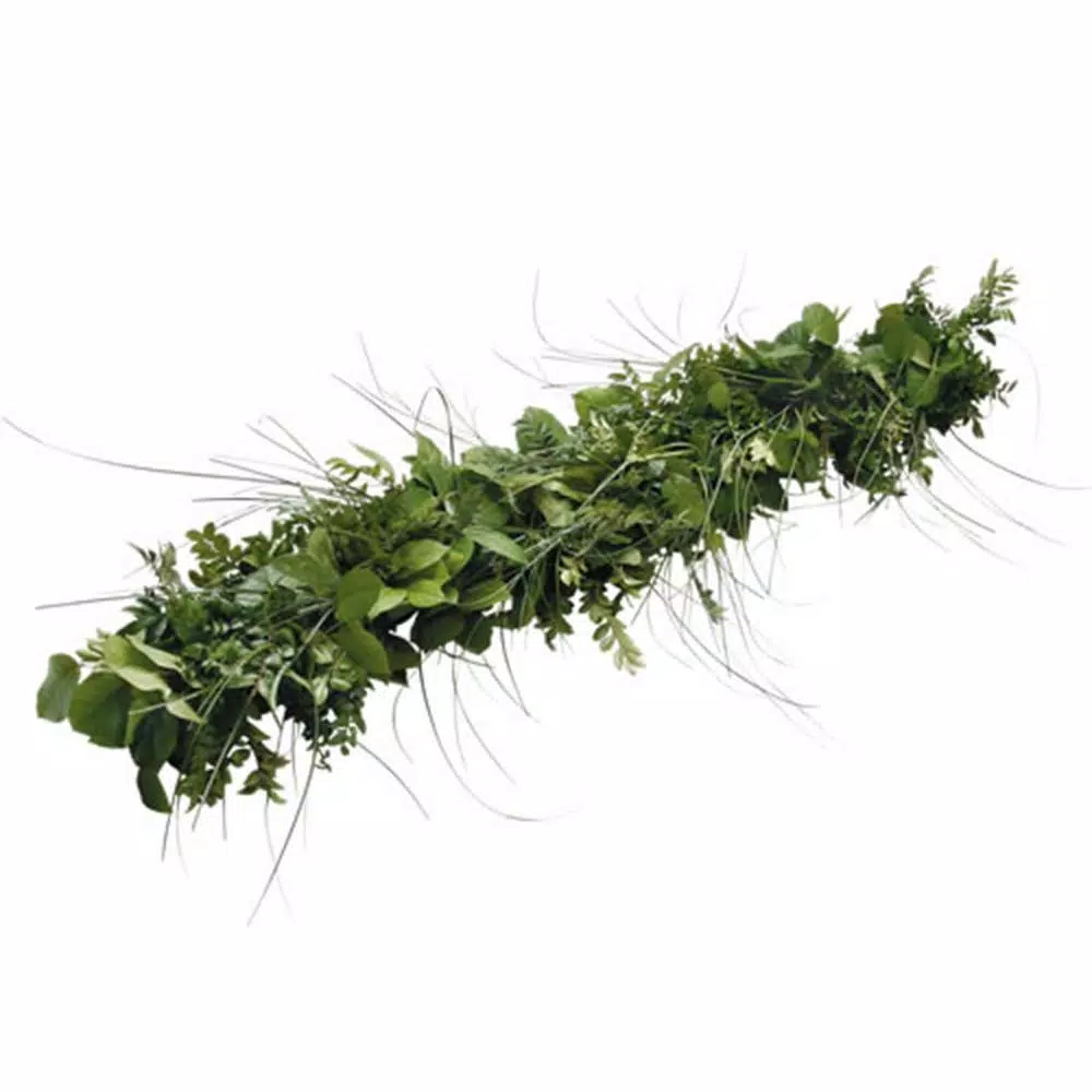 Christmas Greenery VAN ZYVERDEN 6 Ft. Live Fresh Cut Pacific Northwest Deluxe Special Event Garland Mix Coil Runner 3 Christmas Greenery VAN ZYVERDEN 6 Ft. Live Fresh Cut Pacific Northwest Deluxe Special Event Garland Mix Coil Runner