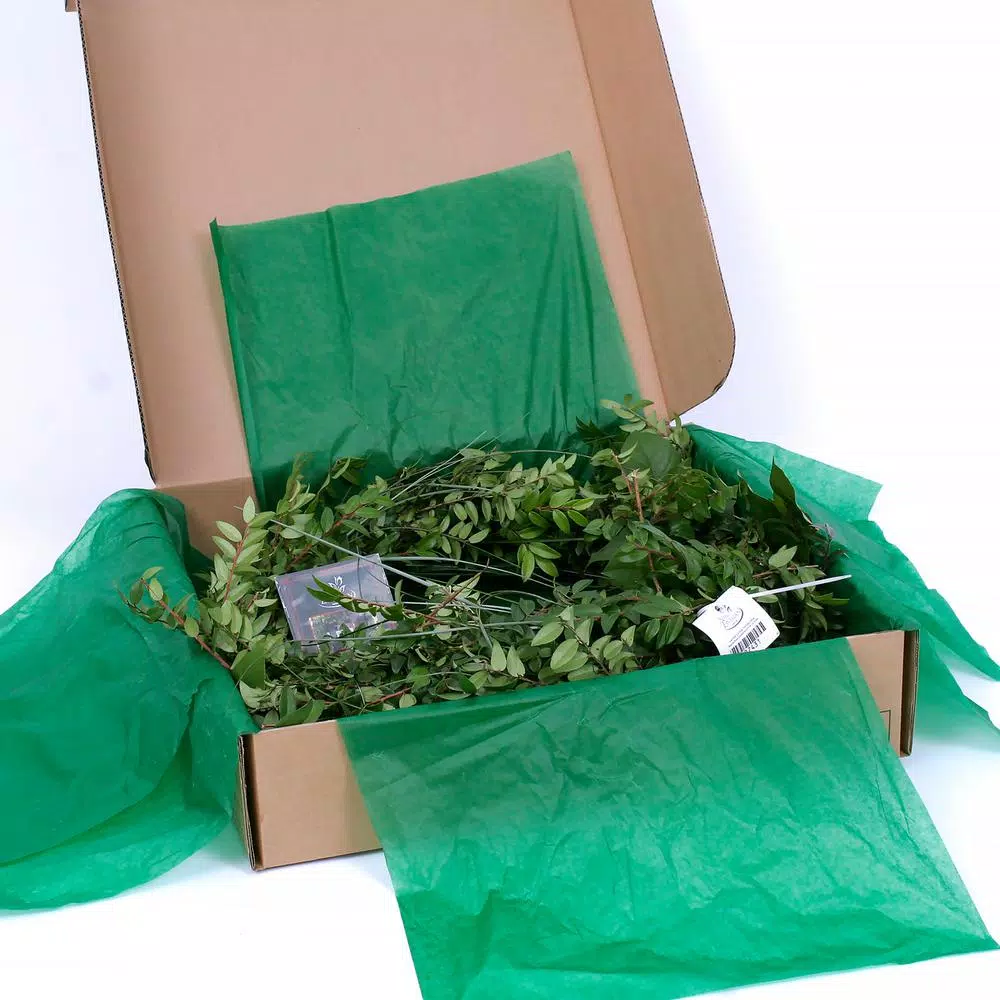 Christmas Greenery VAN ZYVERDEN 6 Ft. Live Fresh Cut Pacific Northwest Deluxe Special Event Garland Mix Coil Runner 8 Christmas Greenery VAN ZYVERDEN 6 Ft. Live Fresh Cut Pacific Northwest Deluxe Special Event Garland Mix Coil Runner - Image 6