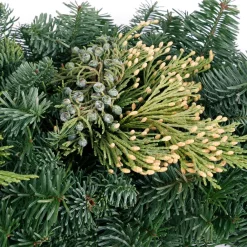 Christmas Greenery VAN ZYVERDEN 4 Ft. Live Fresh Cut Pacific Northwest Classic Garland Holiday Mantel Arrangement -Christmas Lights Sales van zyverden christmas garland 87432 4f 1000