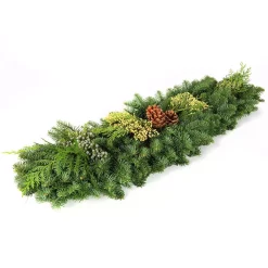 Christmas Greenery VAN ZYVERDEN 4 Ft. Live Fresh Cut Pacific Northwest Classic Garland Holiday Mantel Arrangement