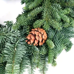 Christmas Greenery VAN ZYVERDEN 16 In. Live Fresh Cut Pacific Northwest Noble Fir Christmas Wreath With Cones -Christmas Lights Sales van zyverden christmas wreaths 87400 4f 1000