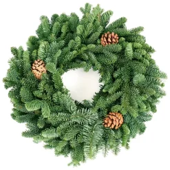 Christmas Greenery VAN ZYVERDEN 16 In. Live Fresh Cut Pacific Northwest Noble Fir Christmas Wreath With Cones