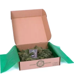 Christmas Greenery VAN ZYVERDEN 20 In. Live Fresh Cut Pacific Northwest Juniper Christmas Wreath -Christmas Lights Sales van zyverden christmas wreaths 87402 1f 1000