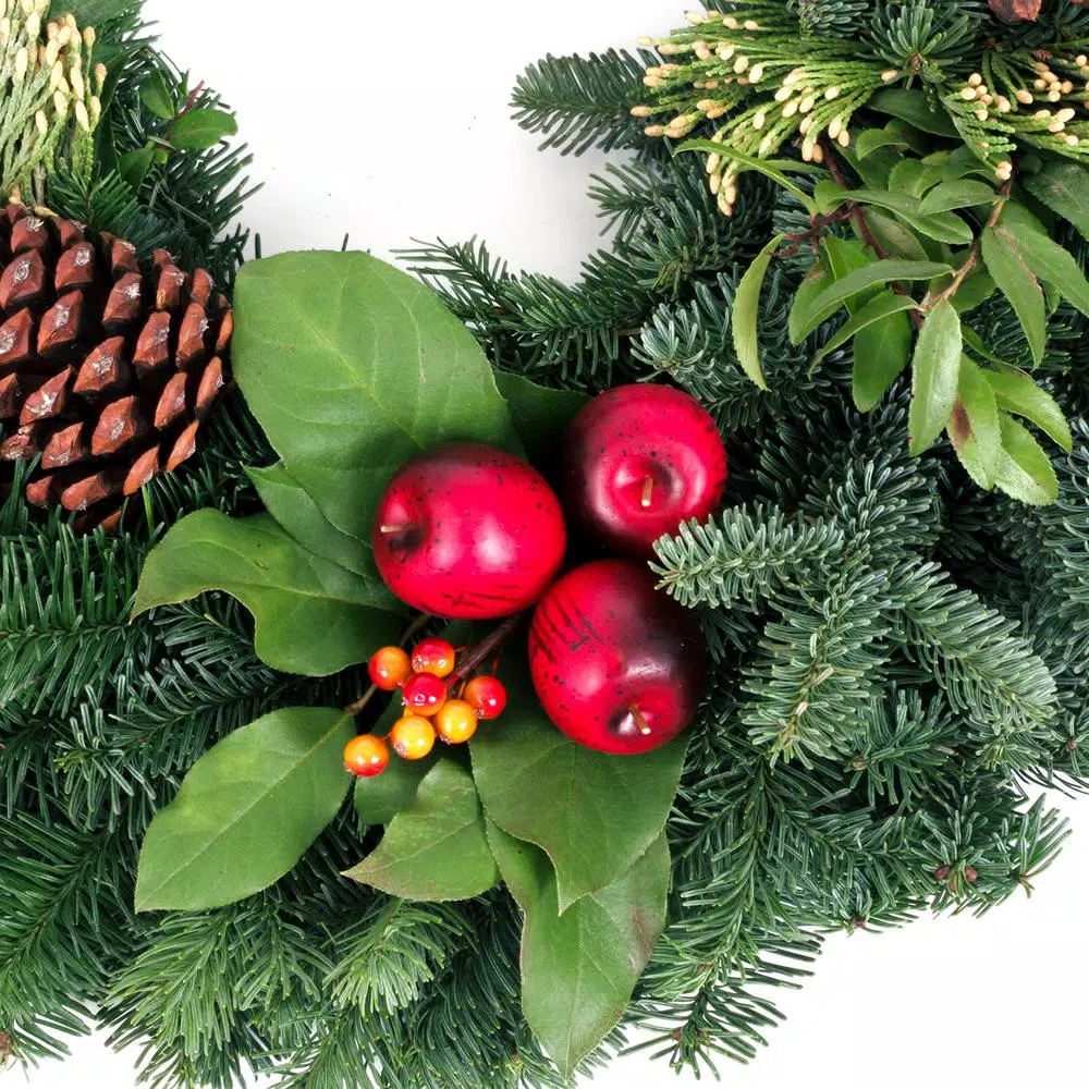 Christmas Greenery VAN ZYVERDEN 24 In. Live Fresh Cut Pacific Northwest Countryside Christmas Wreath 6 Christmas Greenery VAN ZYVERDEN 24 In. Live Fresh Cut Pacific Northwest Countryside Christmas Wreath - Image 4