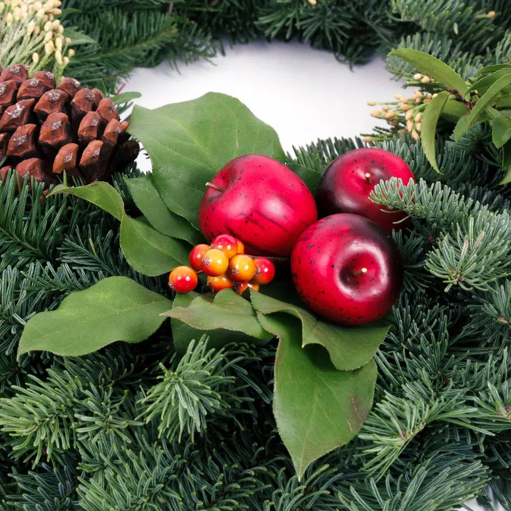 Christmas Greenery VAN ZYVERDEN 24 In. Live Fresh Cut Pacific Northwest Countryside Christmas Wreath 5 Christmas Greenery VAN ZYVERDEN 24 In. Live Fresh Cut Pacific Northwest Countryside Christmas Wreath - Image 3