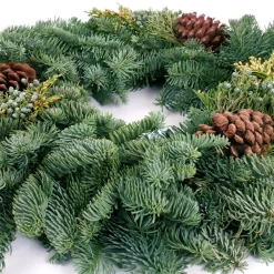 Christmas Greenery VAN ZYVERDEN 20 In. Live Fresh Cut Pacific Northwest Mixed Christmas Wreath Pine Cone Decorated -Christmas Lights Sales van zyverden christmas wreaths 87433 4f 1000