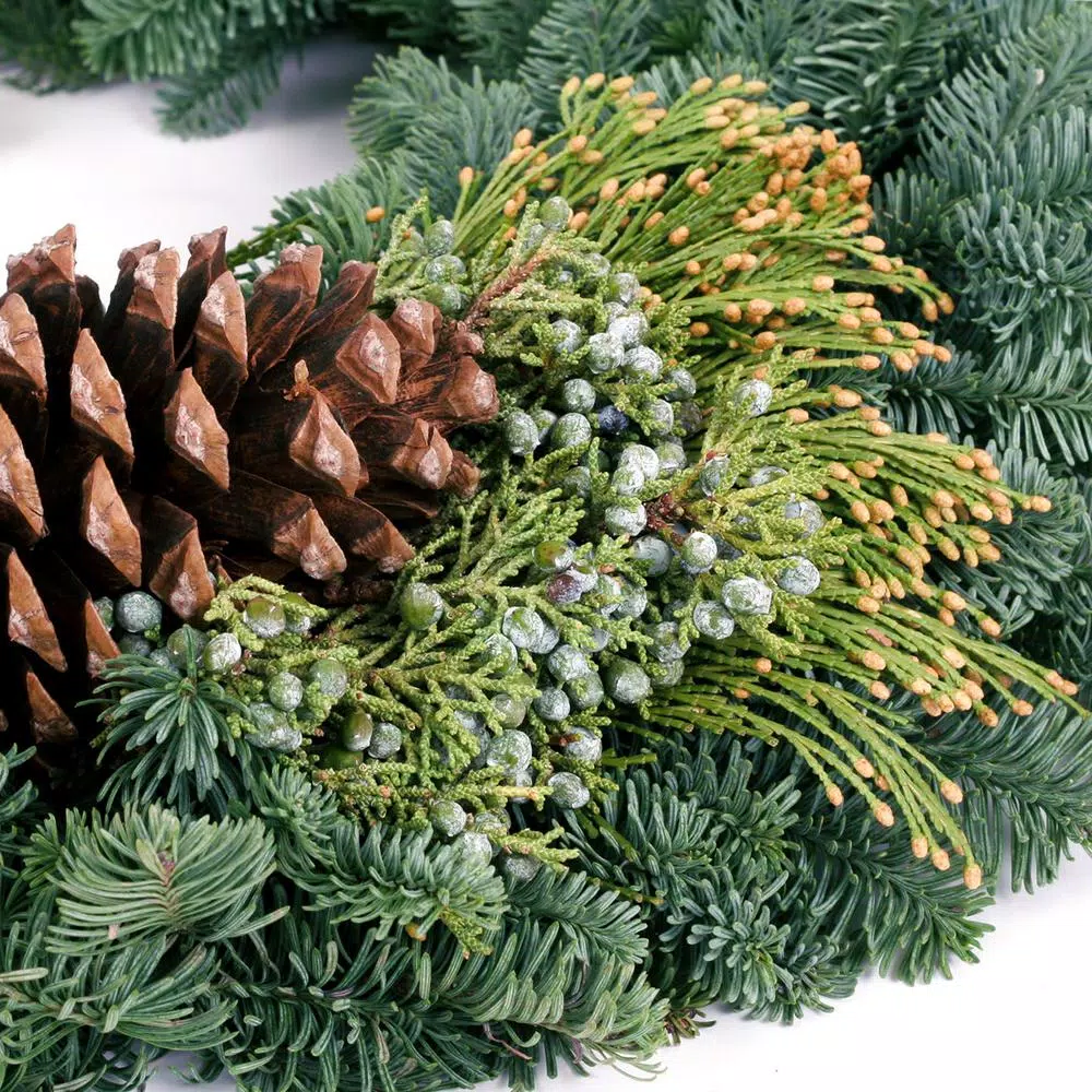 Christmas Greenery VAN ZYVERDEN 24 In. Live Fresh Cut Pacific Northwest Mixed Christmas Wreath Pine Cone Decorated 7 Christmas Greenery VAN ZYVERDEN 24 In. Live Fresh Cut Pacific Northwest Mixed Christmas Wreath Pine Cone Decorated - Image 5