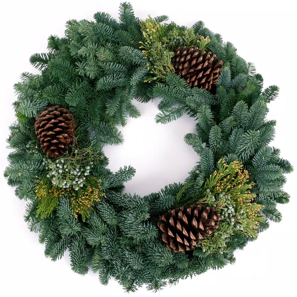 Christmas Greenery VAN ZYVERDEN 24 In. Live Fresh Cut Pacific Northwest Mixed Christmas Wreath Pine Cone Decorated 4 Christmas Greenery VAN ZYVERDEN 24 In. Live Fresh Cut Pacific Northwest Mixed Christmas Wreath Pine Cone Decorated - Image 2