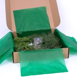 Christmas Greenery VAN ZYVERDEN 24 In. Live Fresh Cut Pacific Northwest Modern Block Christmas Wreath -Christmas Lights Sales van zyverden christmas wreaths 87436 44 1000