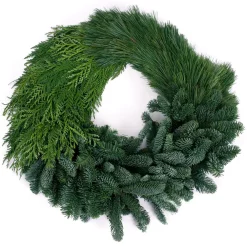 Christmas Greenery VAN ZYVERDEN 24 In. Live Fresh Cut Pacific Northwest Modern Block Christmas Wreath -Christmas Lights Sales van zyverden christmas wreaths 87436 4f 1000