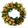 Christmas Greenery VAN ZYVERDEN 24 In. Classic Magnolia Christmas Wreath 2 Christmas Greenery VAN ZYVERDEN 24 In. Classic Magnolia Christmas Wreath -Christmas Lights Sales van zyverden christmas wreaths 87437 64 1000