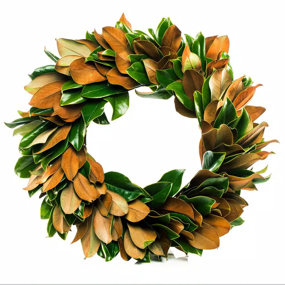 Christmas Greenery VAN ZYVERDEN 24 In. Classic Magnolia Christmas Wreath 3 Christmas Greenery VAN ZYVERDEN 24 In. Classic Magnolia Christmas Wreath