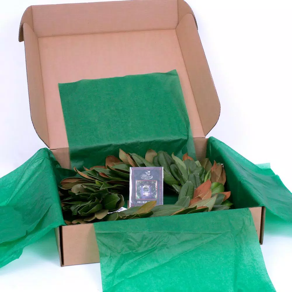 Christmas Greenery VAN ZYVERDEN 24 In. Classic Magnolia Christmas Wreath 4 Christmas Greenery VAN ZYVERDEN 24 In. Classic Magnolia Christmas Wreath - Image 2