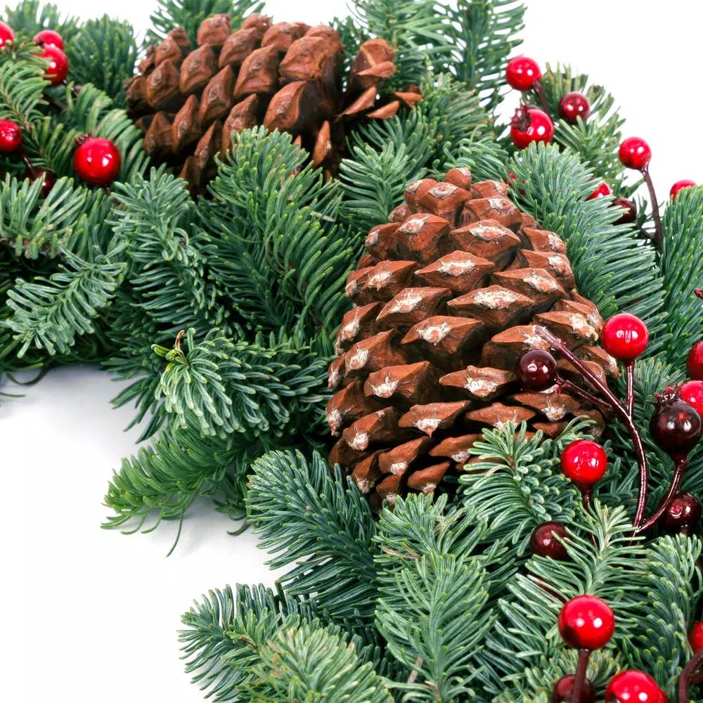 Christmas Greenery VAN ZYVERDEN 24 In. Live Fresh Cut Pacific Northwest Berry Fresh Christmas Wreath Decorated 6 Christmas Greenery VAN ZYVERDEN 24 In. Live Fresh Cut Pacific Northwest Berry Fresh Christmas Wreath Decorated - Image 4
