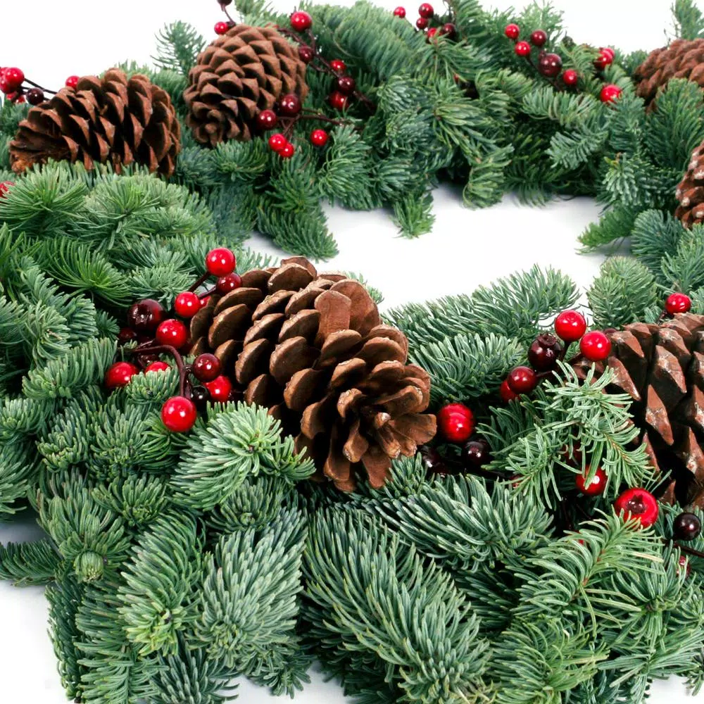 Christmas Greenery VAN ZYVERDEN 24 In. Live Fresh Cut Pacific Northwest Berry Fresh Christmas Wreath Decorated 4 Christmas Greenery VAN ZYVERDEN 24 In. Live Fresh Cut Pacific Northwest Berry Fresh Christmas Wreath Decorated - Image 2