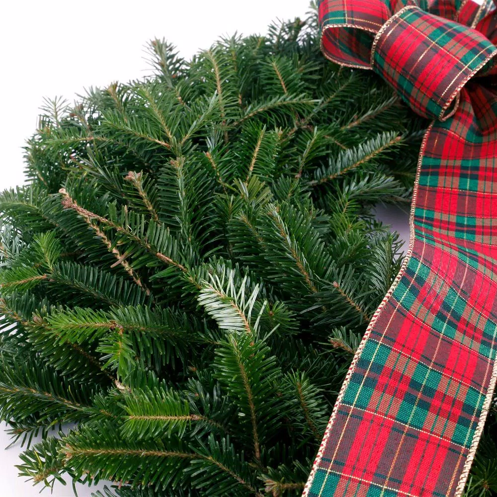 Christmas Greenery VAN ZYVERDEN 24 In. Live Fresh Cut Blue Ridge Mountain Decorated Fraser Fir Christmas Wreath With Bow 5 Christmas Greenery VAN ZYVERDEN 24 In. Live Fresh Cut Blue Ridge Mountain Decorated Fraser Fir Christmas Wreath With Bow - Image 3