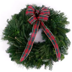 Christmas Lights Sales 4 Christmas Greenery VAN ZYVERDEN 16 In. Live Fresh Cut Blue Ridge Mountain Mixed Window Christmas Wreath With Bow