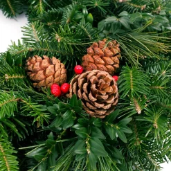 Christmas Greenery VAN ZYVERDEN 24 In. Live Fresh Cut Blue Ridge Mountain Mixed Christmas Wreath With Cones And Berries -Christmas Lights Sales van zyverden christmas wreaths 87447 c3 1000