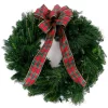 Christmas Greenery VAN ZYVERDEN 24 In. Live Fresh Cut Blue Ridge Mountain Mixed Christmas Wreath With Bow -Christmas Lights Sales van zyverden christmas wreaths 87448 64 1000
