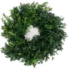 Christmas Greenery VAN ZYVERDEN 12 In. Live Fresh Cut Blue Ridge Mountain Box Wood Window Christmas Wreath -Christmas Lights Sales van zyverden christmas wreaths 87551 64 1000
