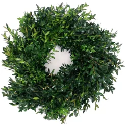 Christmas Greenery VAN ZYVERDEN 12 In. Live Fresh Cut Blue Ridge Mountain Box Wood Window Christmas Wreath