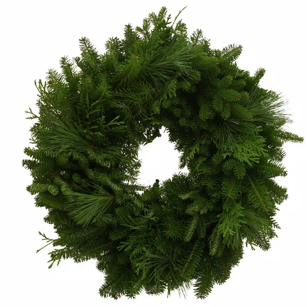 Christmas Greenery Worcester Wreath 24 In. Balsam Mixed Greens Fresh Wreath : Multiple Ship Weeks Available 3 Christmas Greenery Worcester Wreath 24 In. Balsam Mixed Greens Fresh Wreath : Multiple Ship Weeks Available