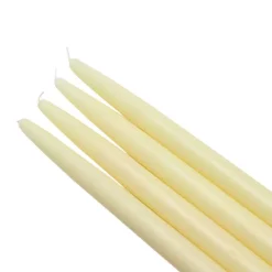 Indoor Christmas Decorations Zest Candle 10 In. Ivory Taper Candles (12-Set)