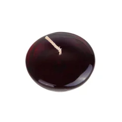 Indoor Christmas Decorations Zest Candle 3 In. Clear Black Gel Floating Candles (6-Box)