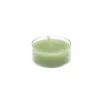 Indoor Christmas Decorations Zest Candle 1.5 In. Sage Green Tealight Candles (50-Pack) 2 Indoor Christmas Decorations Zest Candle 1.5 In. Sage Green Tealight Candles (50-Pack) -Christmas Lights Sales zest candle christmas candles holders ctz 019 64 1000